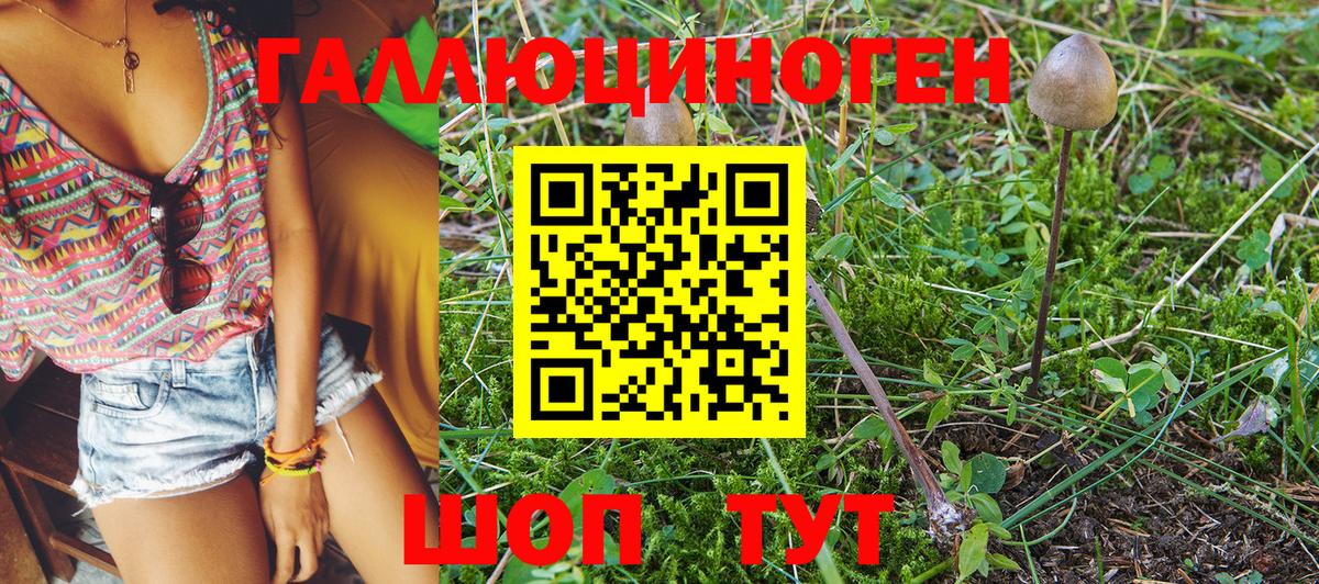 Псилоцибиновые грибы Psilocybine cubensis  Псилоцибиновые грибы Magic Shrooms  Дербент  Вход с VPN 